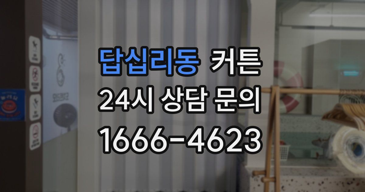 답십리동 커튼