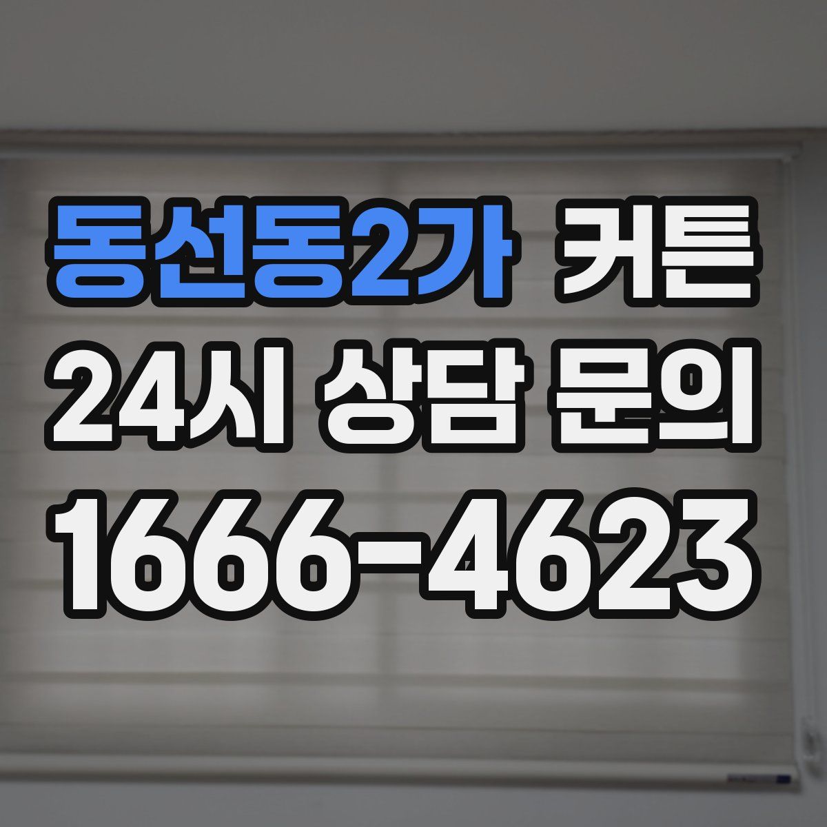 동선동2가 커튼