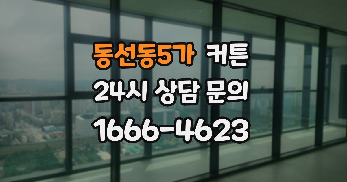 동선동5가 커튼