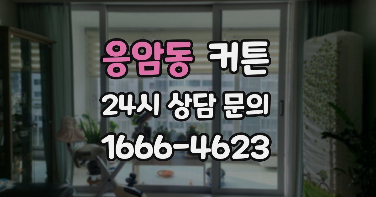 응암동 커튼