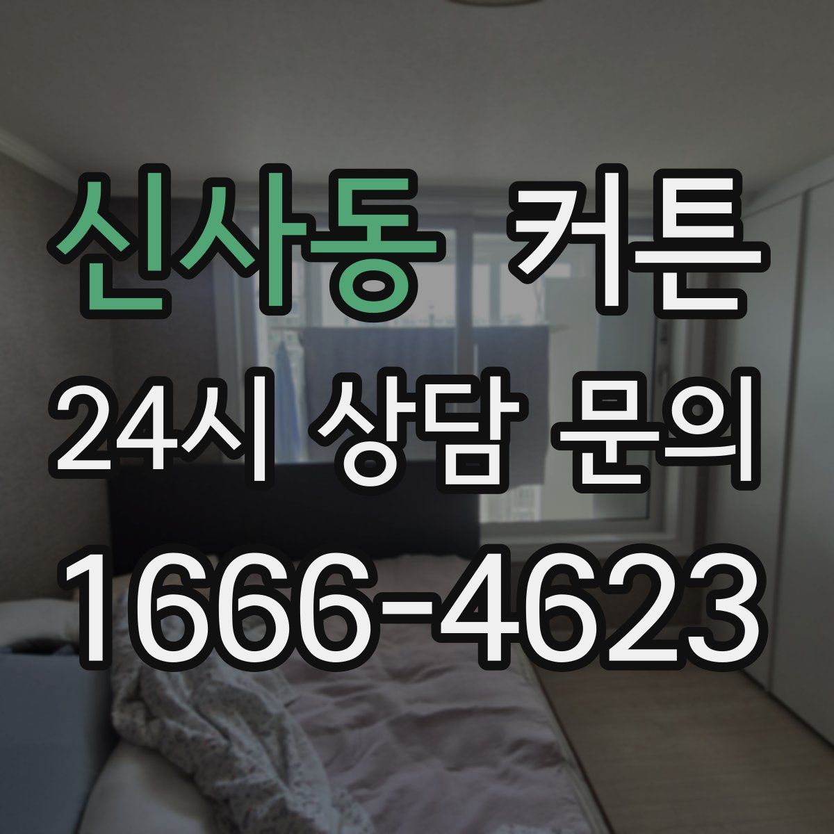 신사동 커튼