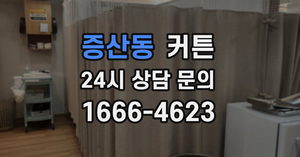 증산동 커튼