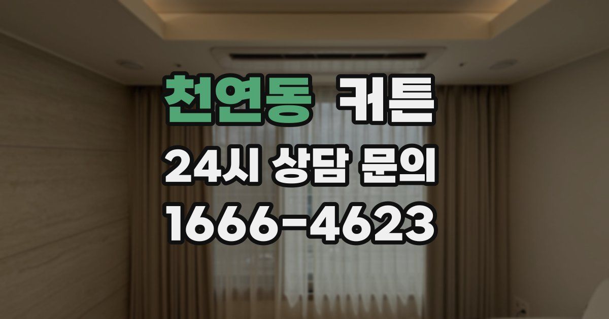 천연동 커튼