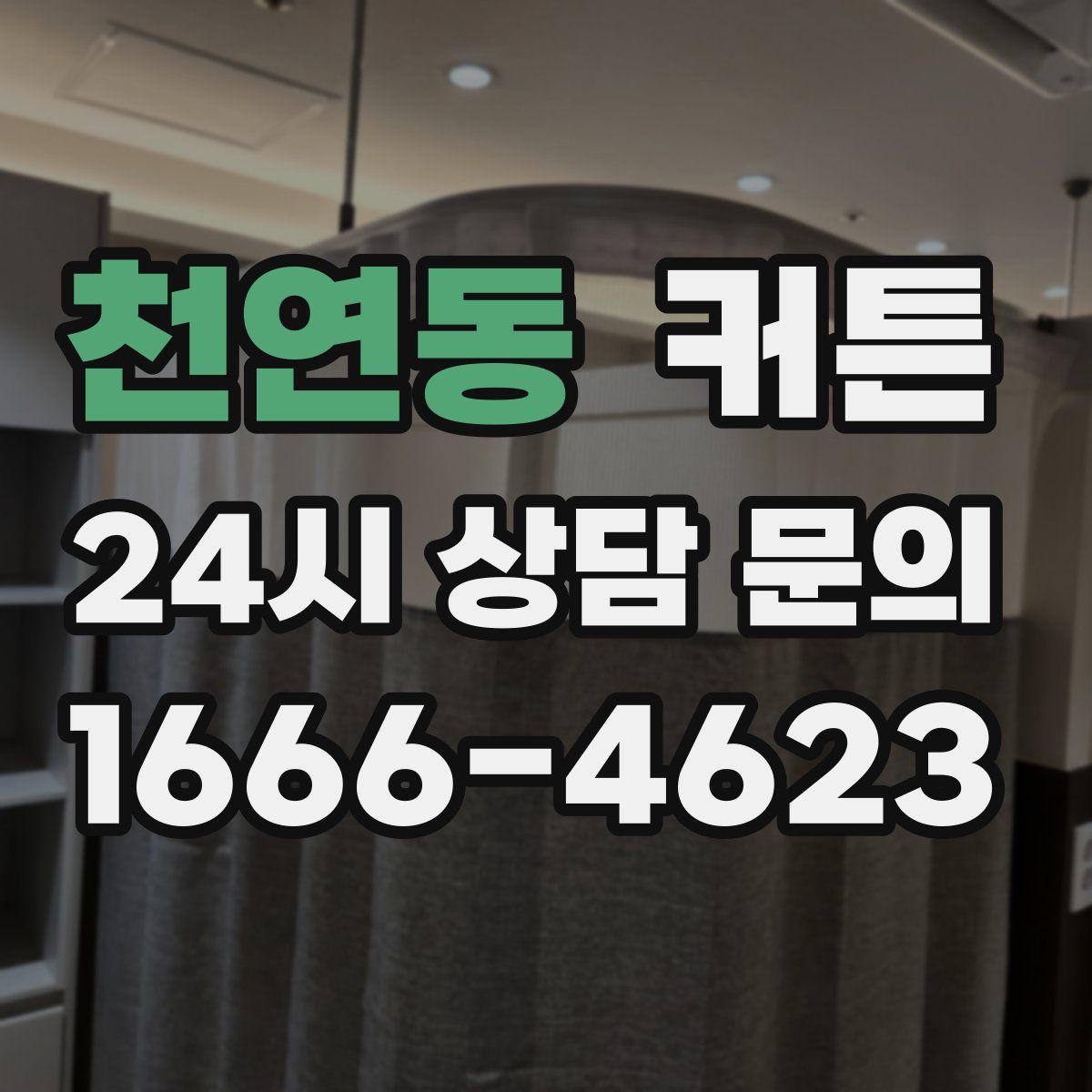 천연동 커튼