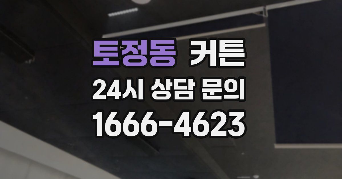 토정동 커튼