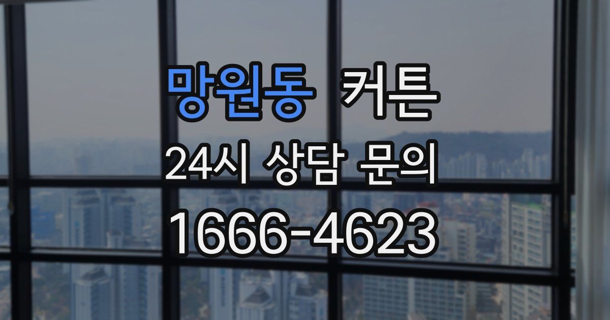 망원동 커튼