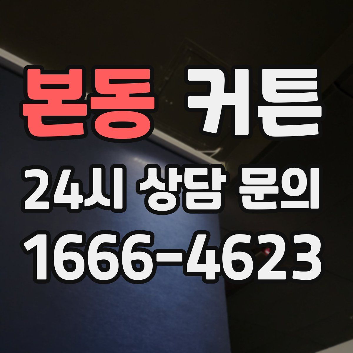 본동 커튼