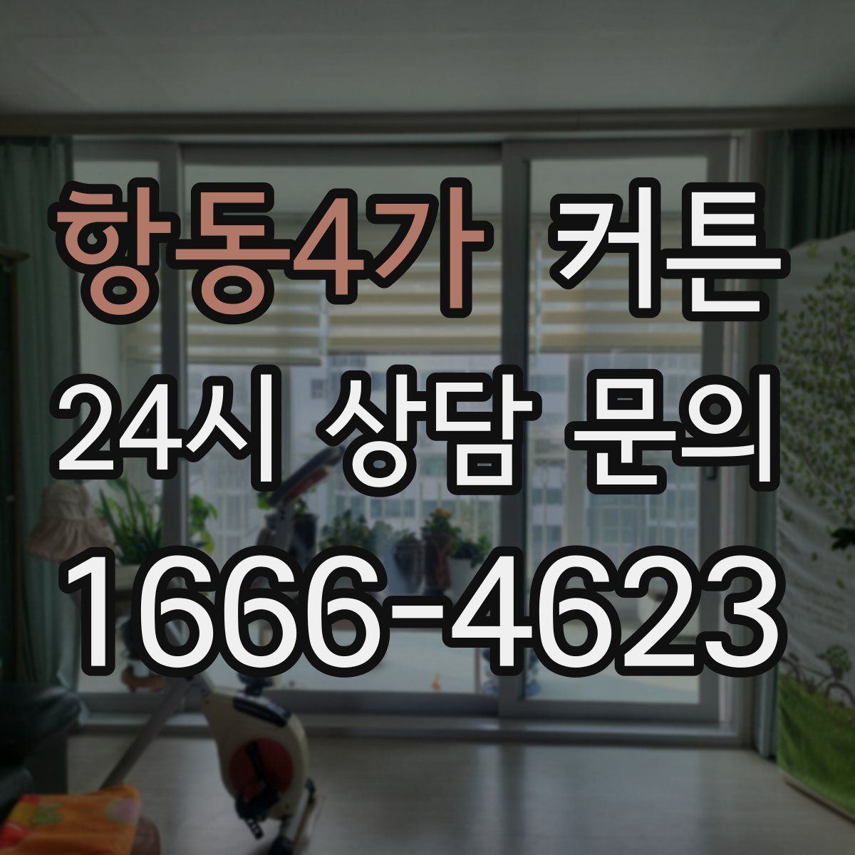 항동4가 커튼