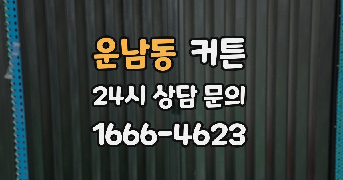 운남동 커튼