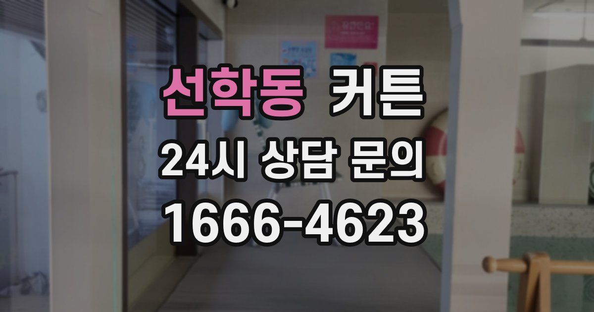 선학동 커튼