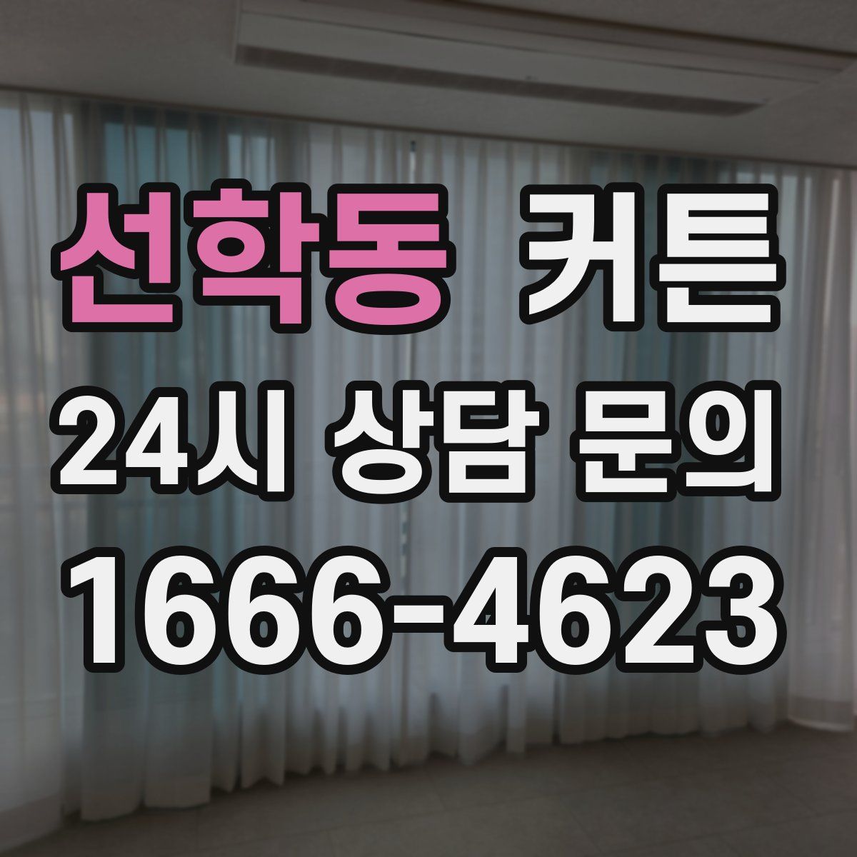 선학동 커튼