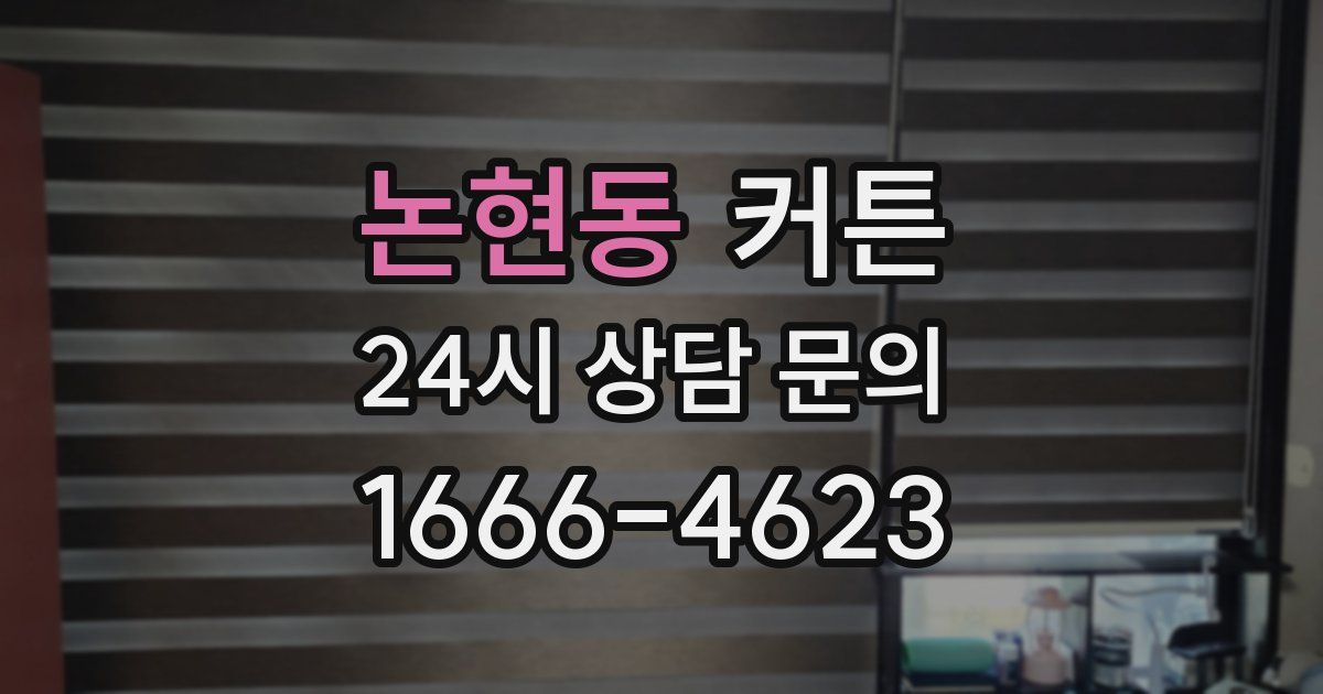 논현동 커튼
