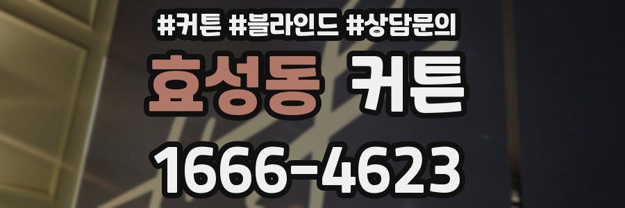 효성동 커튼