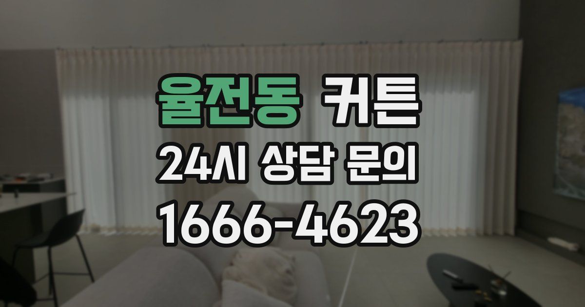 율전동 커튼