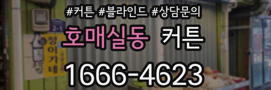 호매실동 커튼