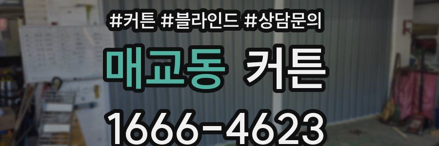 매교동 커튼