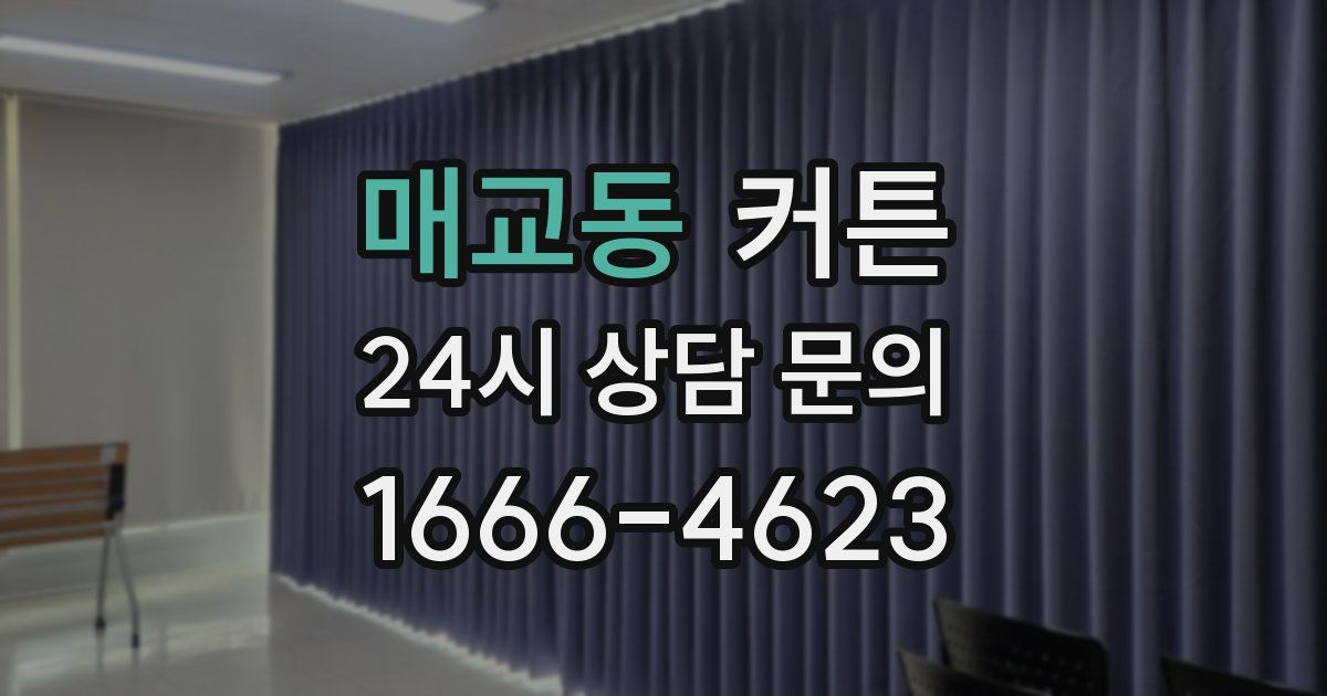 매교동 커튼