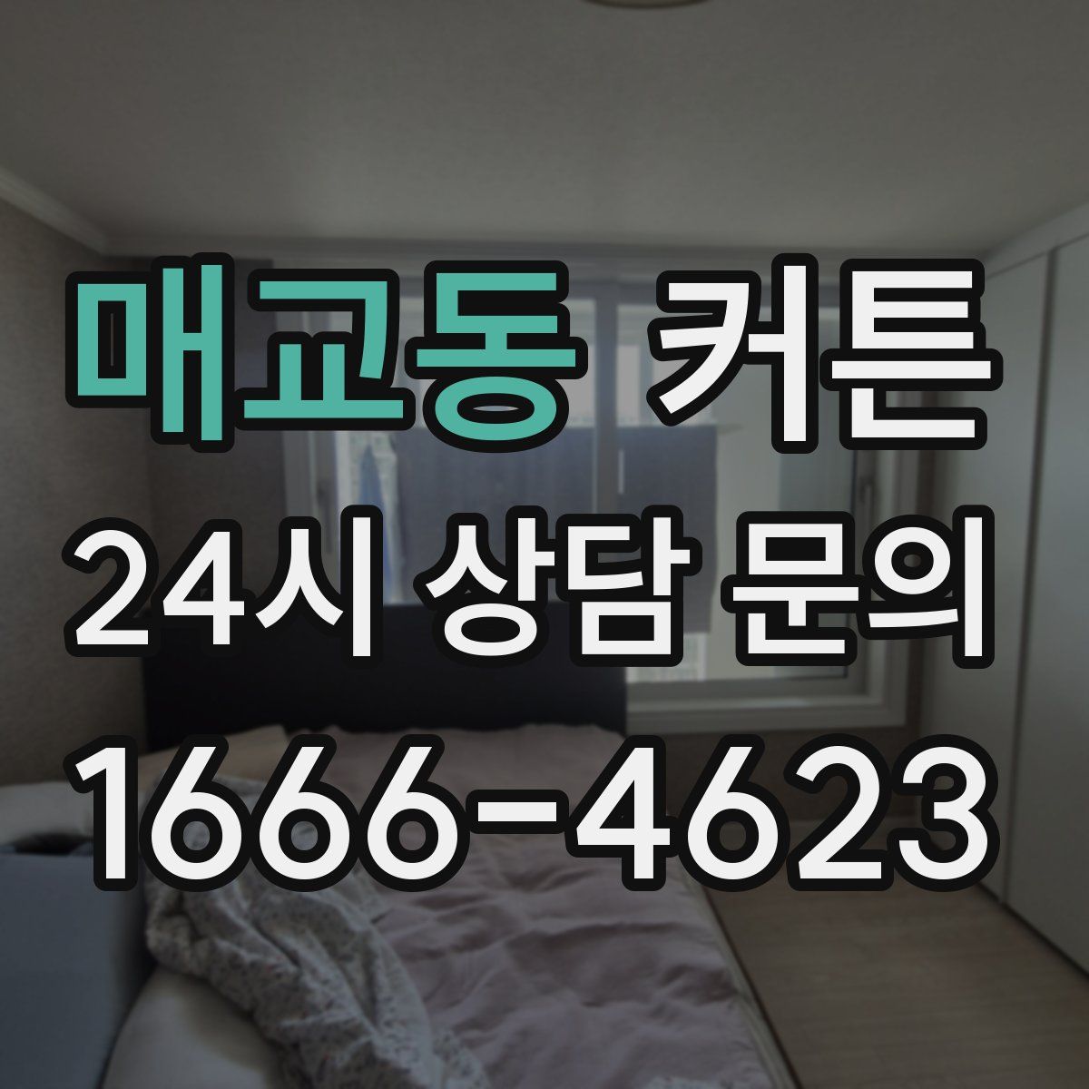 매교동 커튼