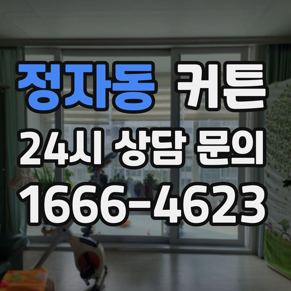 정자동 커튼