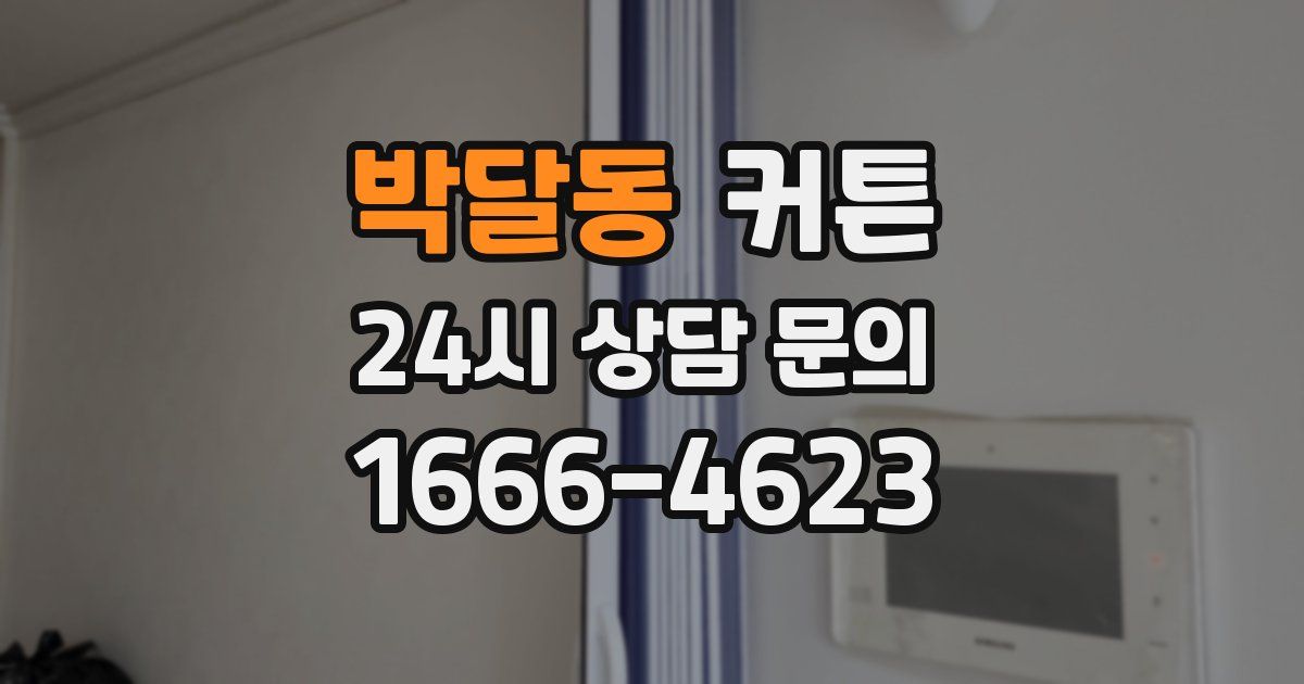 박달동 커튼