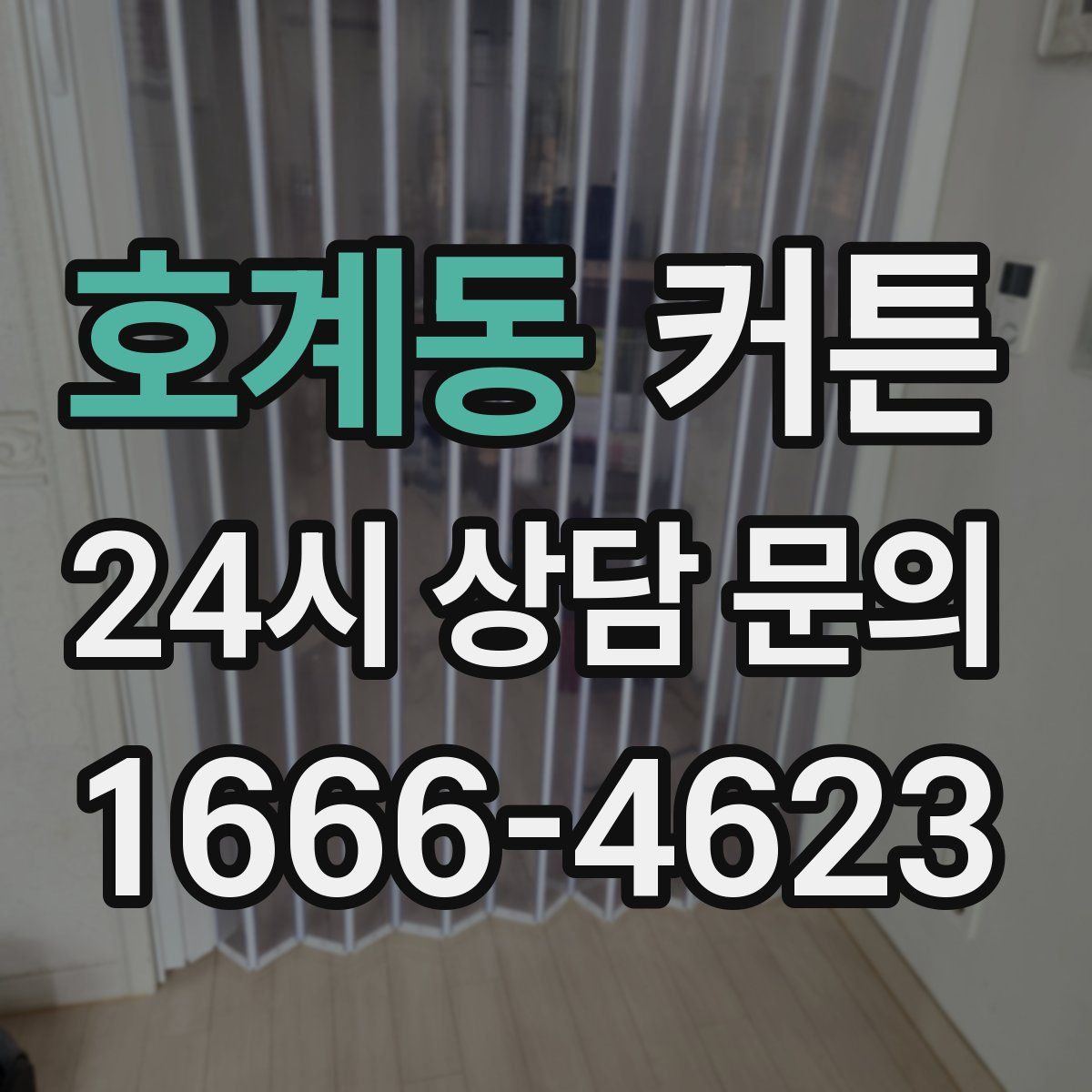 호계동 커튼