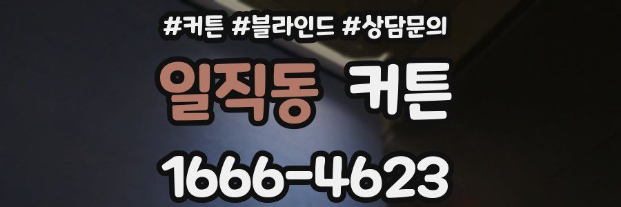 일직동 커튼