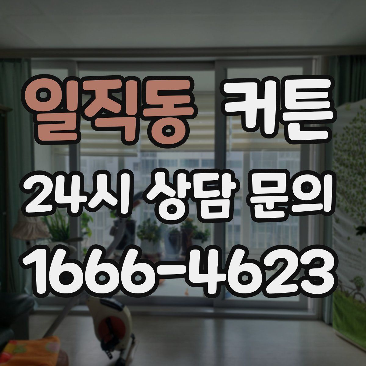 일직동 커튼