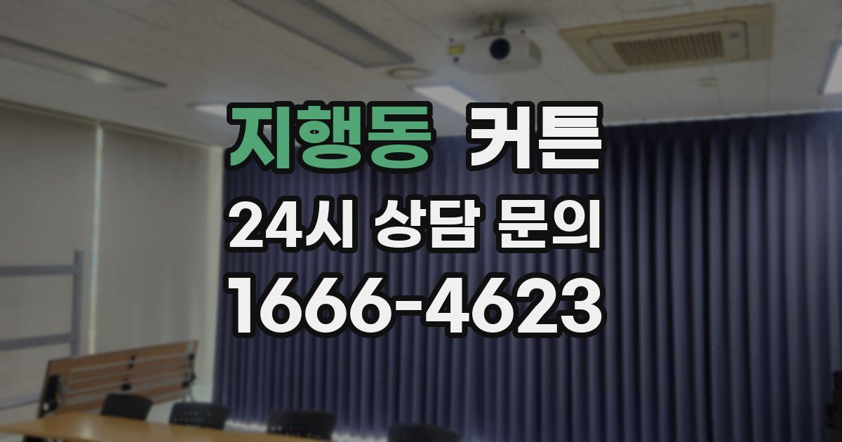 지행동 커튼