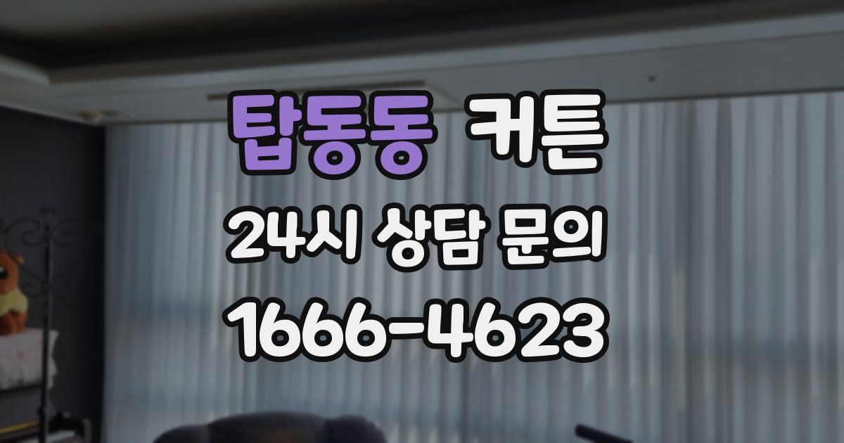 탑동동 커튼