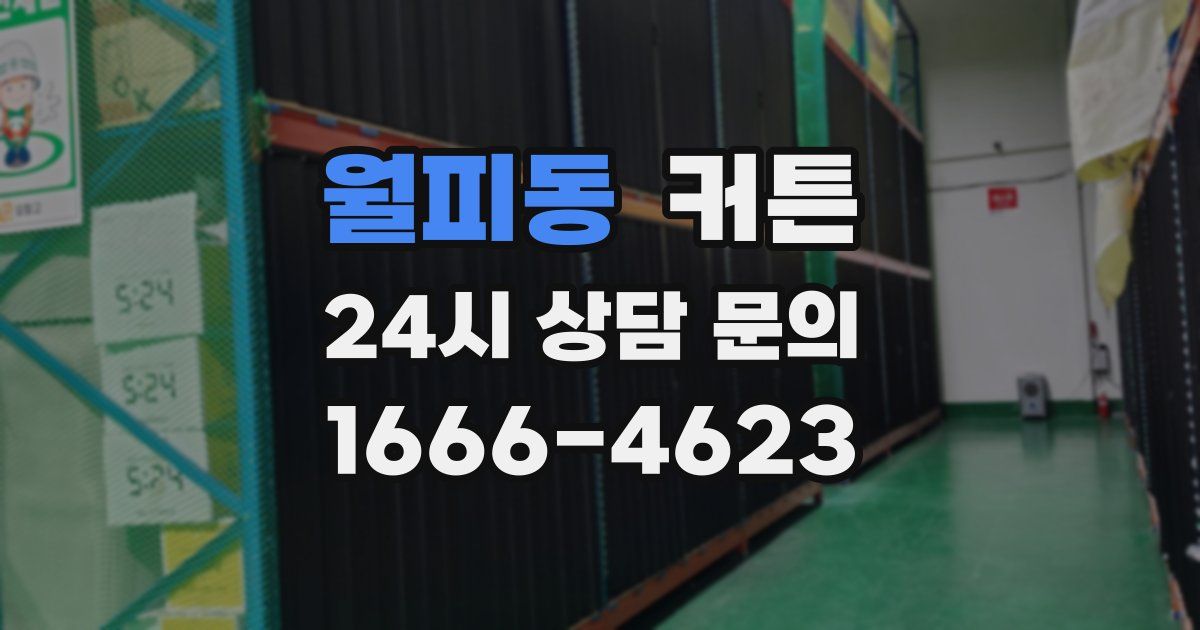월피동 커튼