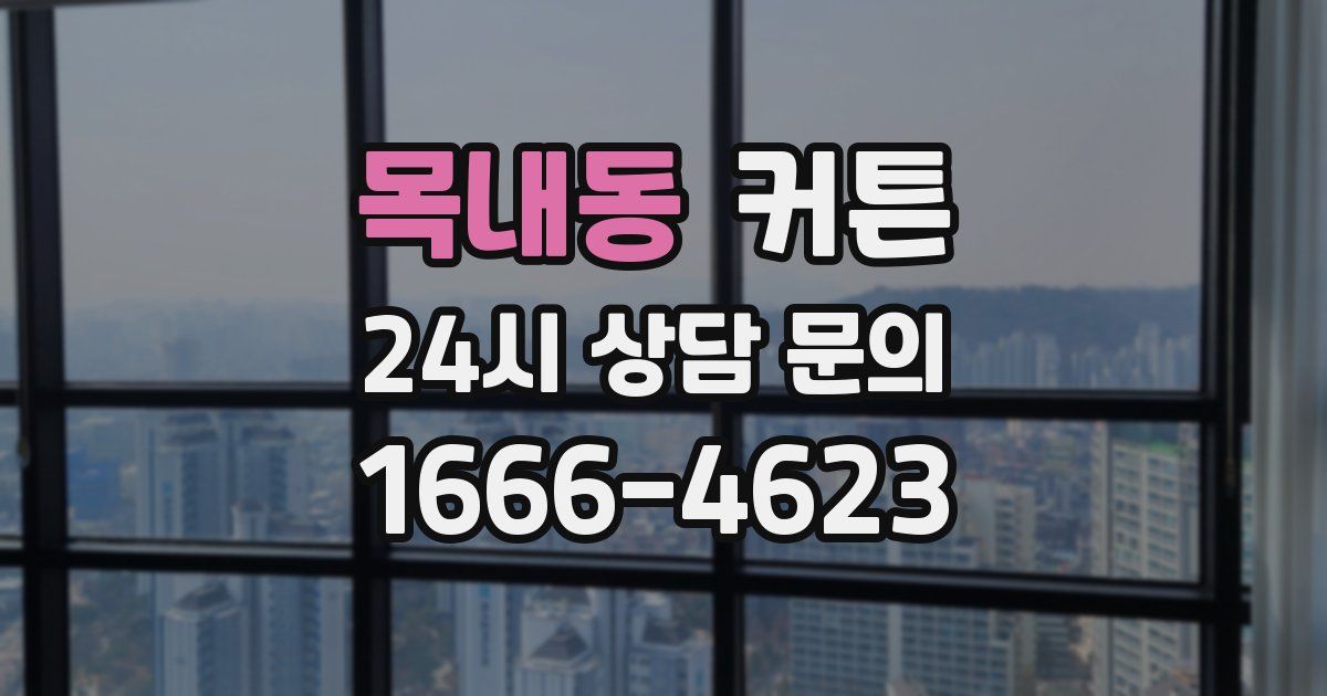 목내동 커튼