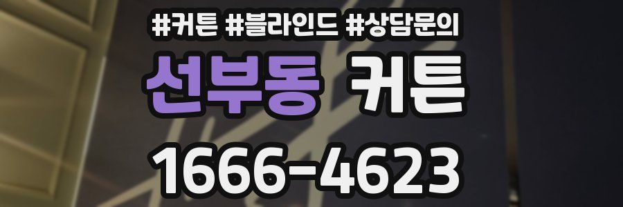 선부동 커튼