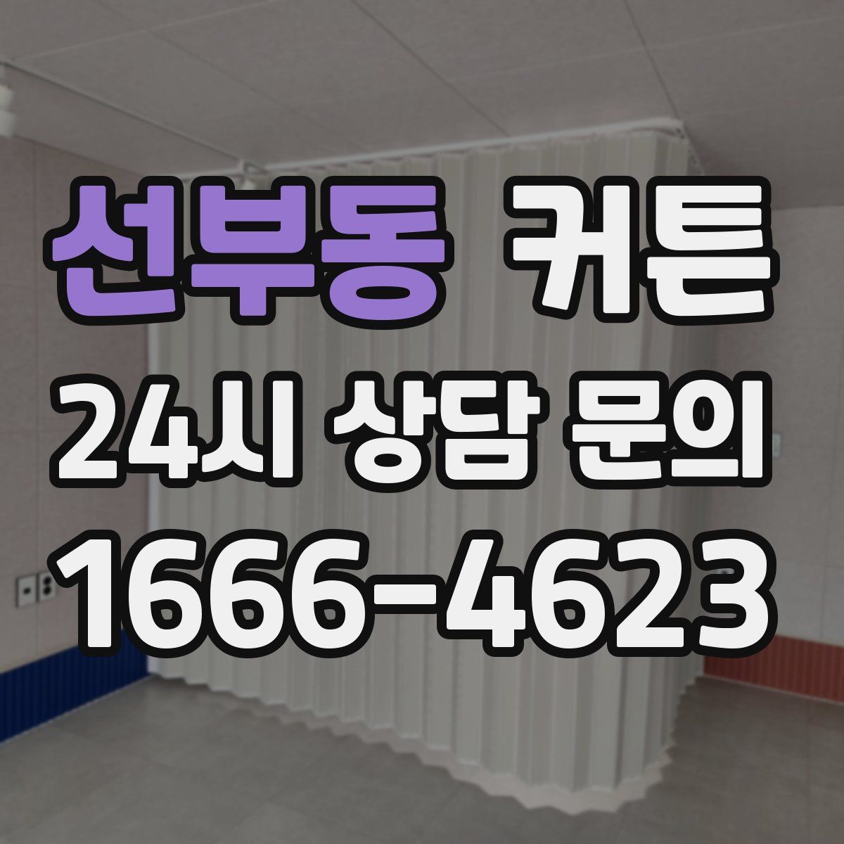 선부동 커튼