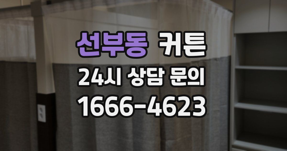 선부동 커튼