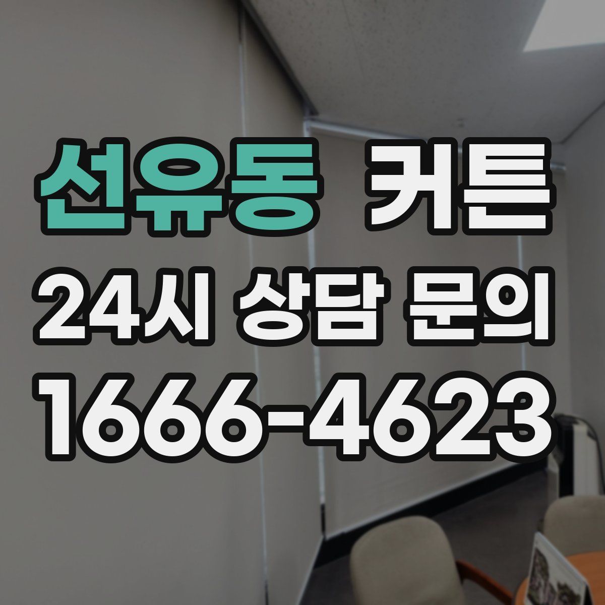 선유동 커튼