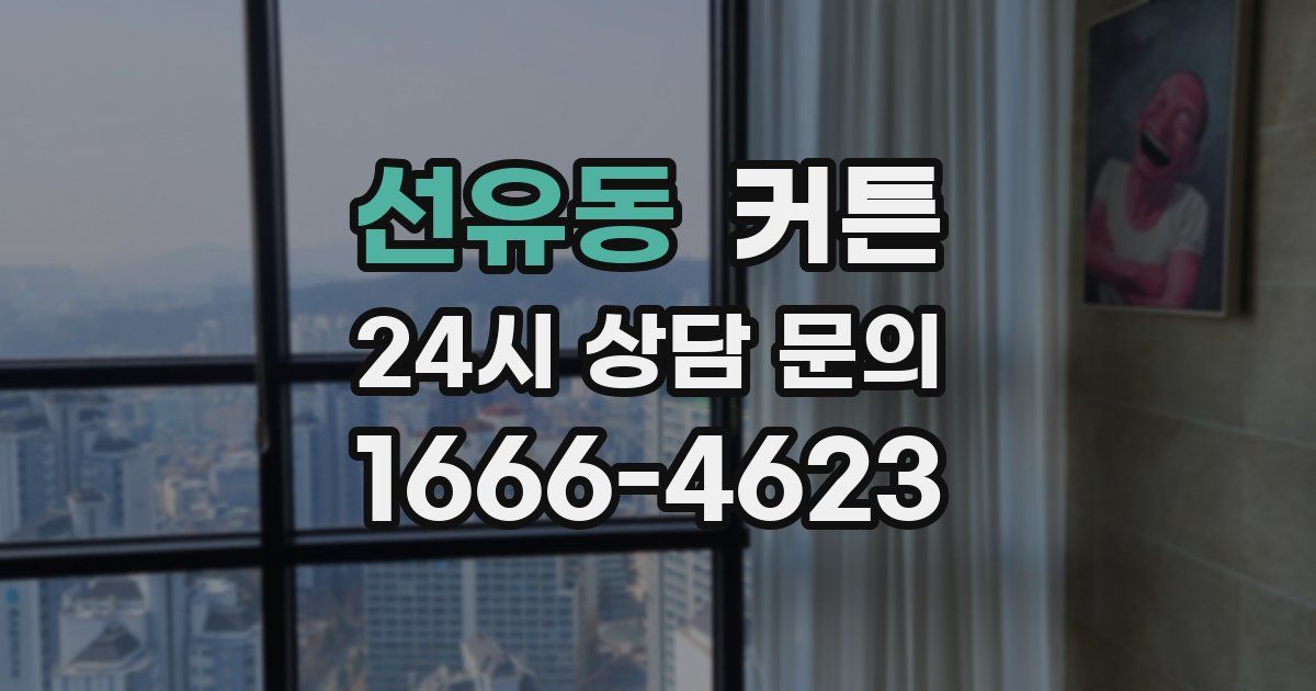 선유동 커튼