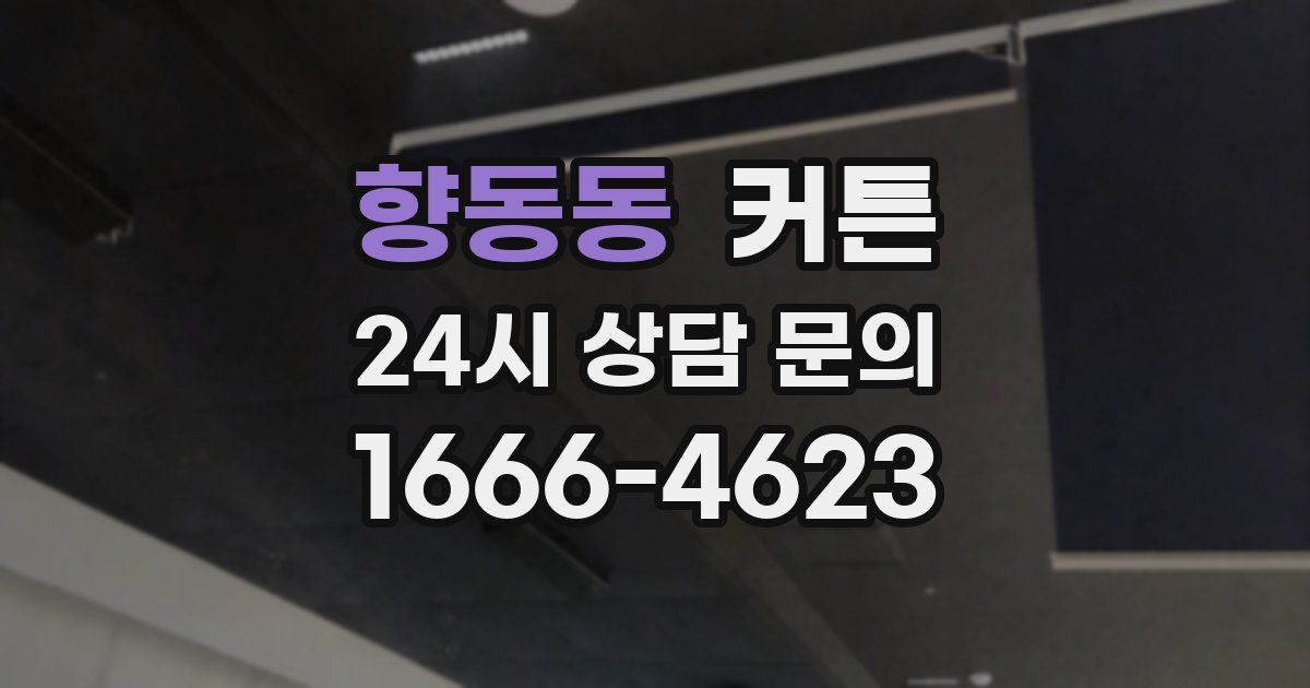 향동동 커튼