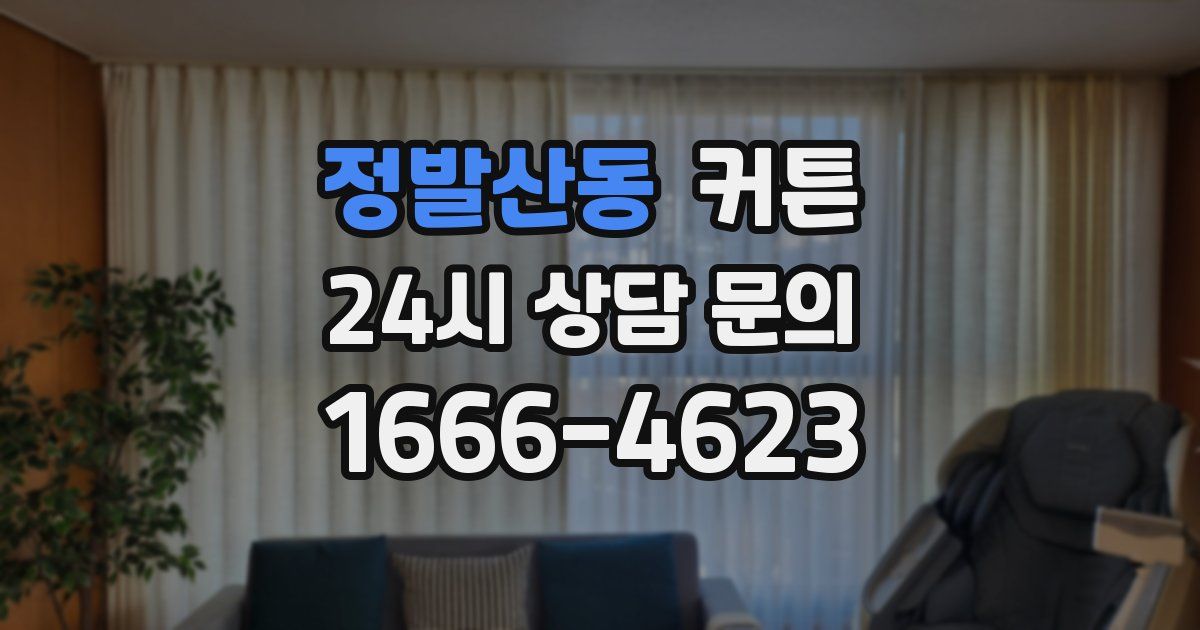 정발산동 커튼