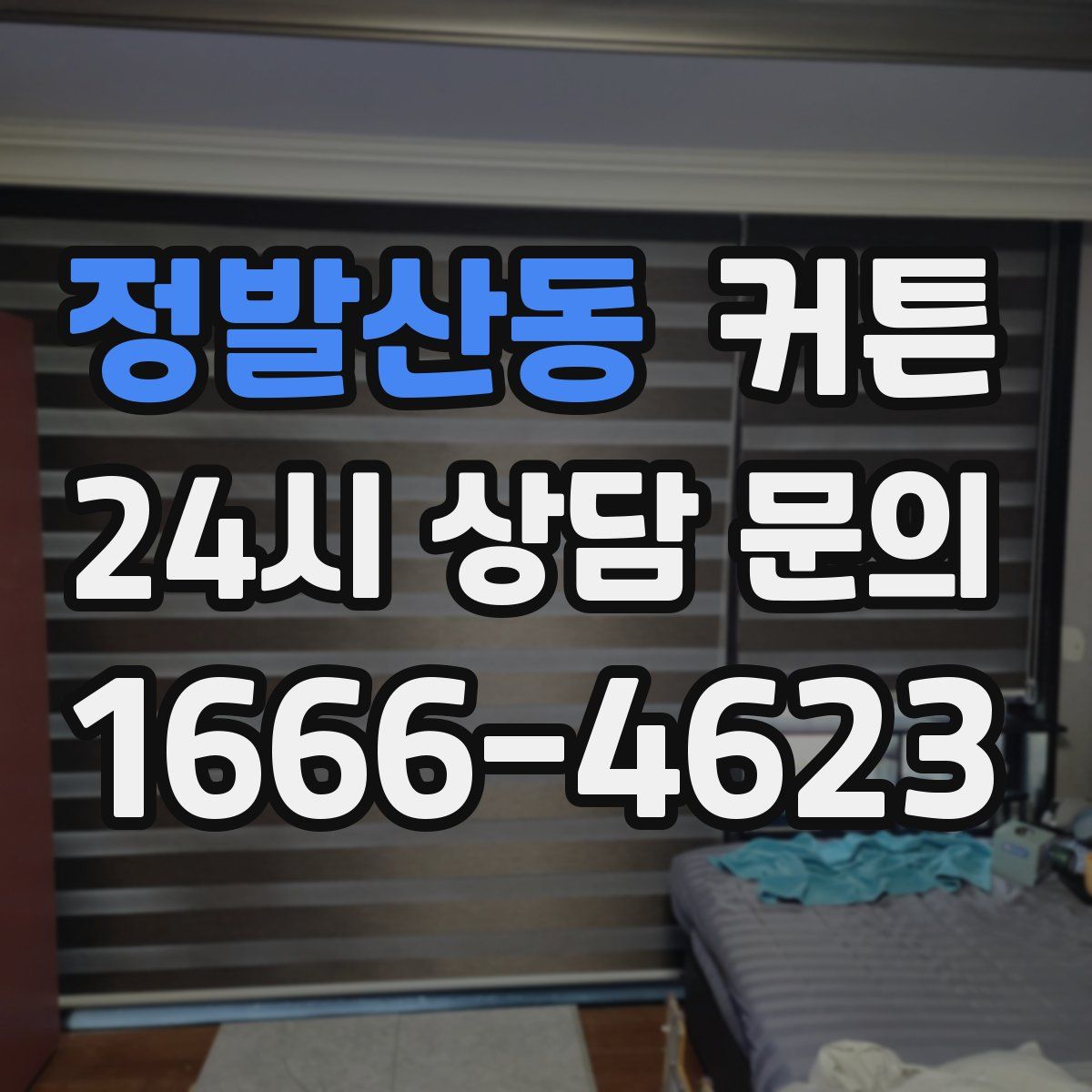 정발산동 커튼