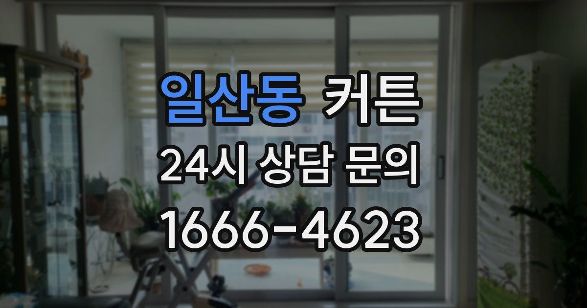 일산동 커튼