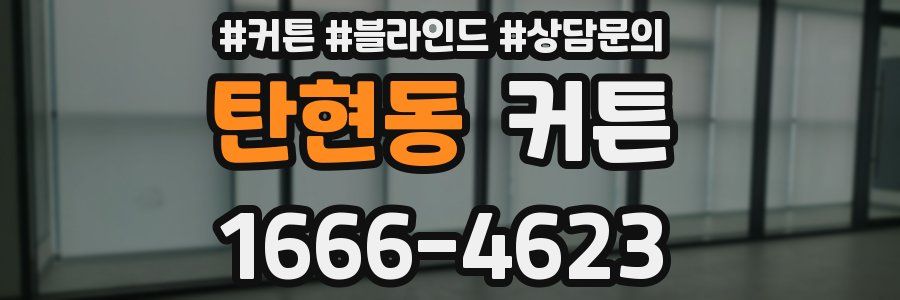 탄현동 커튼