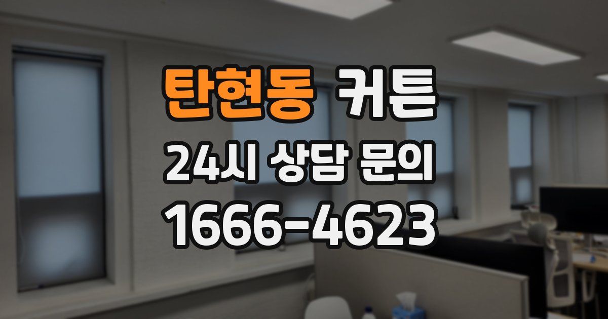 탄현동 커튼