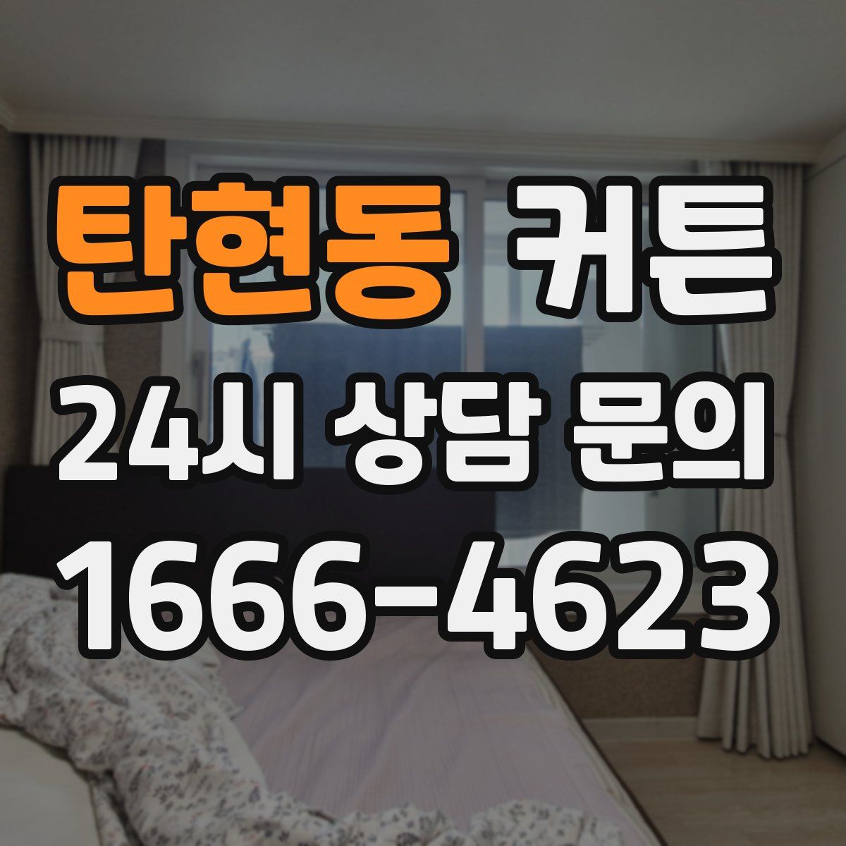 탄현동 커튼