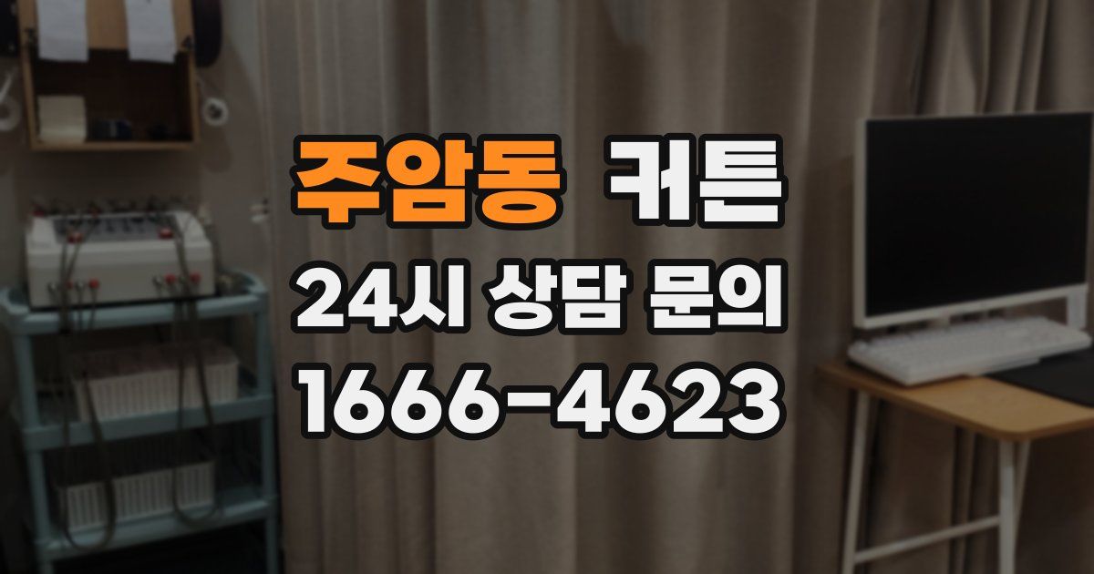 주암동 커튼