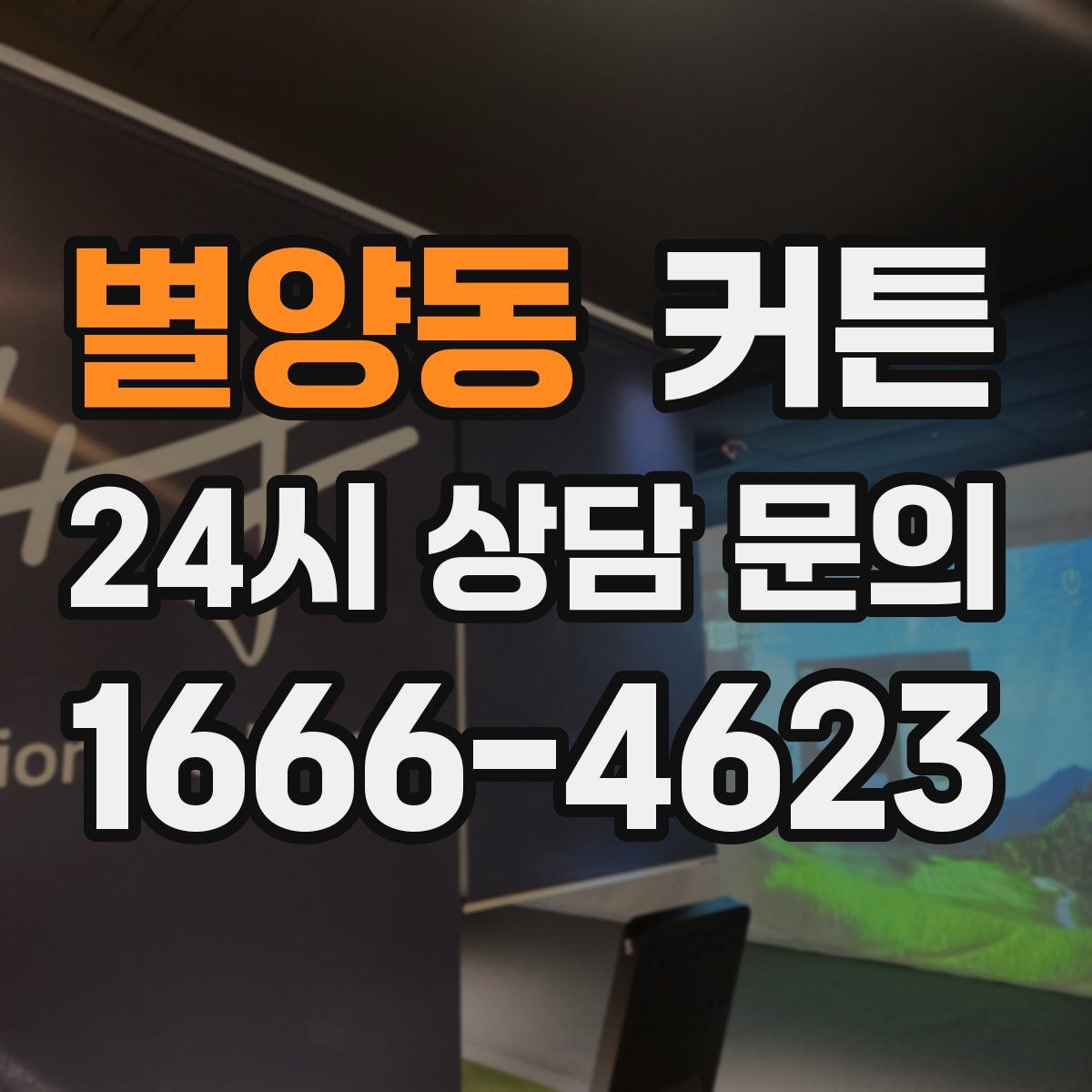 별양동 커튼