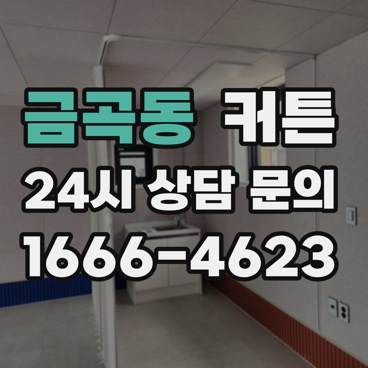 금곡동 커튼
