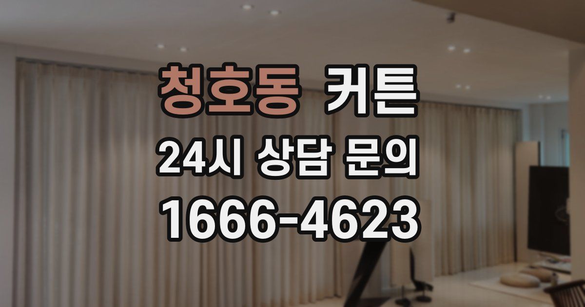 청호동 커튼