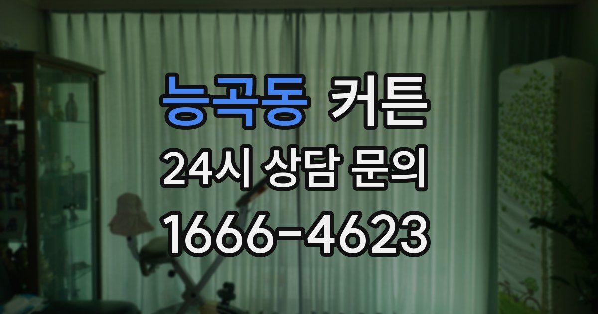 능곡동 커튼