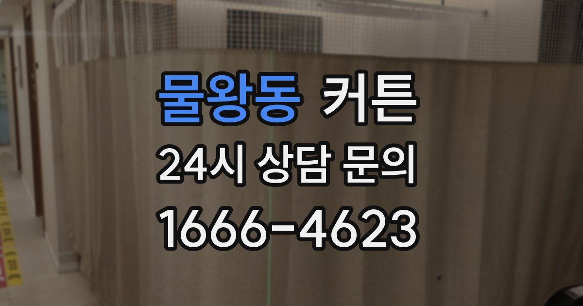 물왕동 커튼