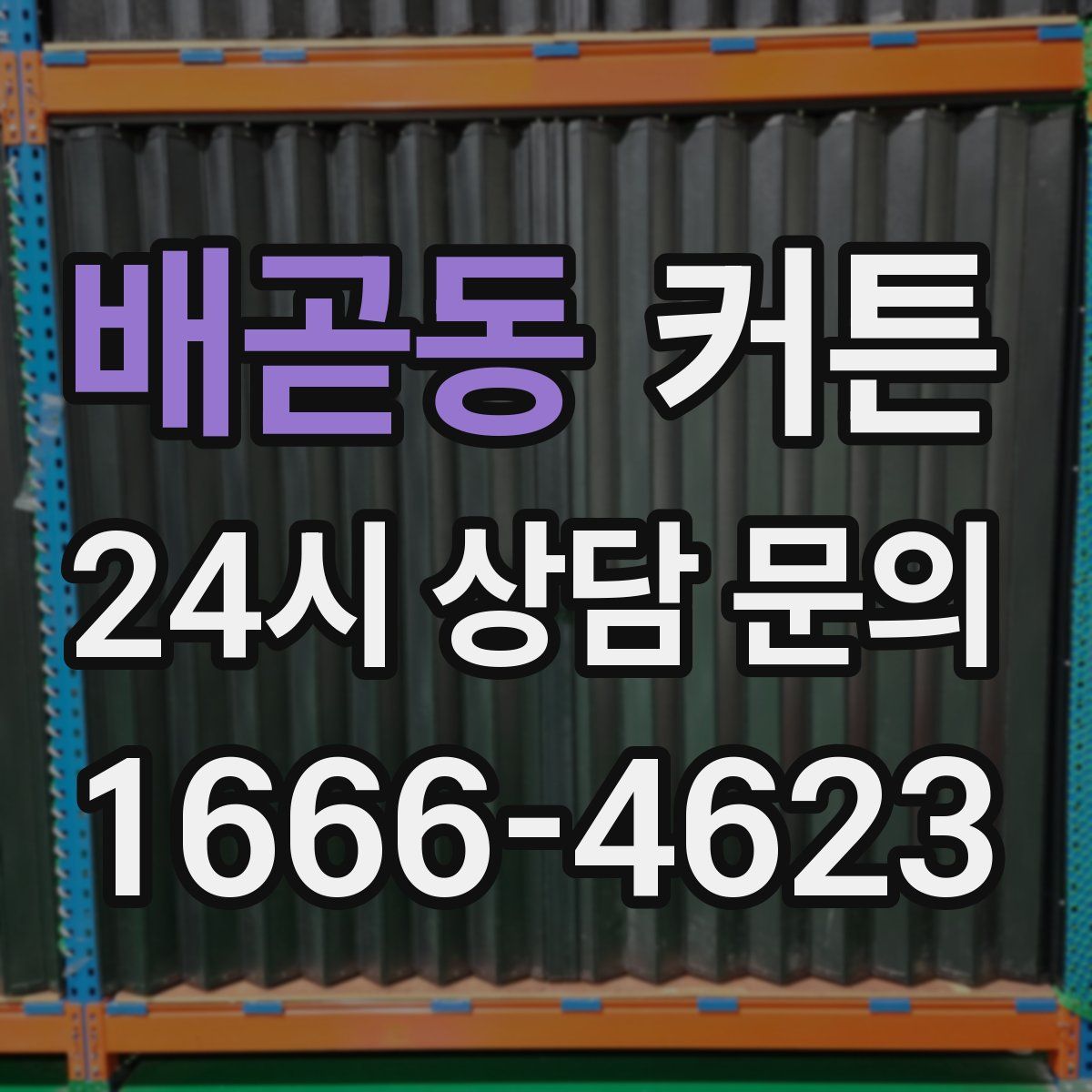 배곧동 커튼